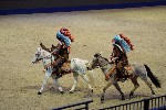 Quadrille - 00217